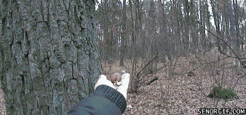 Подборка гифок