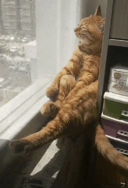 Ха-ха! Пока!