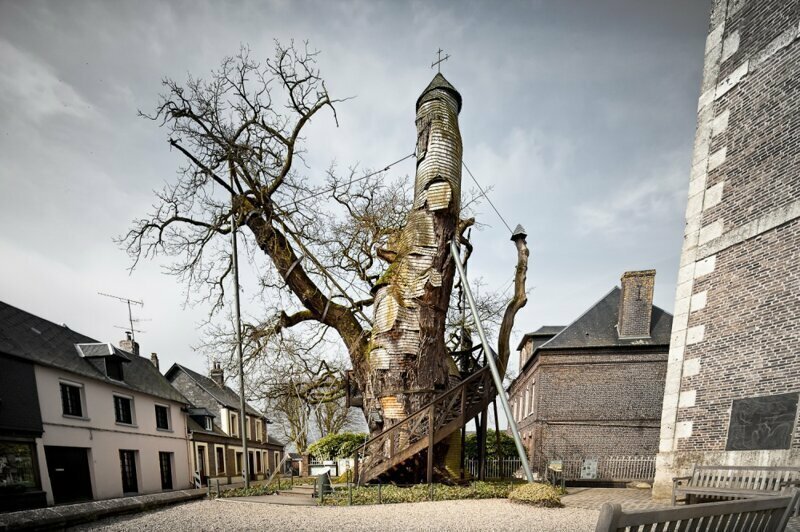 Тысячелетний дуб, внутри которого находится часовня, Франция 