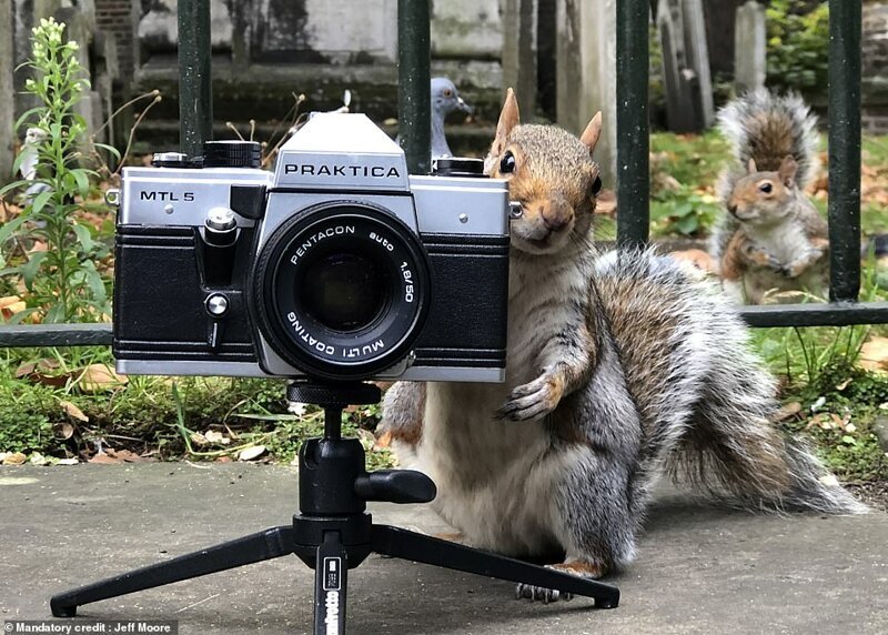 Фотограф Джефф Мур тестировал старую пленочную камеру в мемориальном парке Банхилл