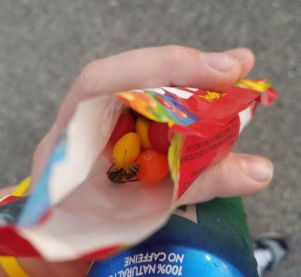 Бывают в жизни огорчения от Димон за 10 октября 2019