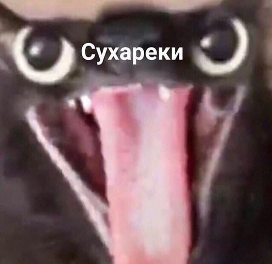 Кот «Сухареки»