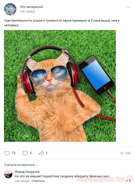 Комментарии к постам в разных группах