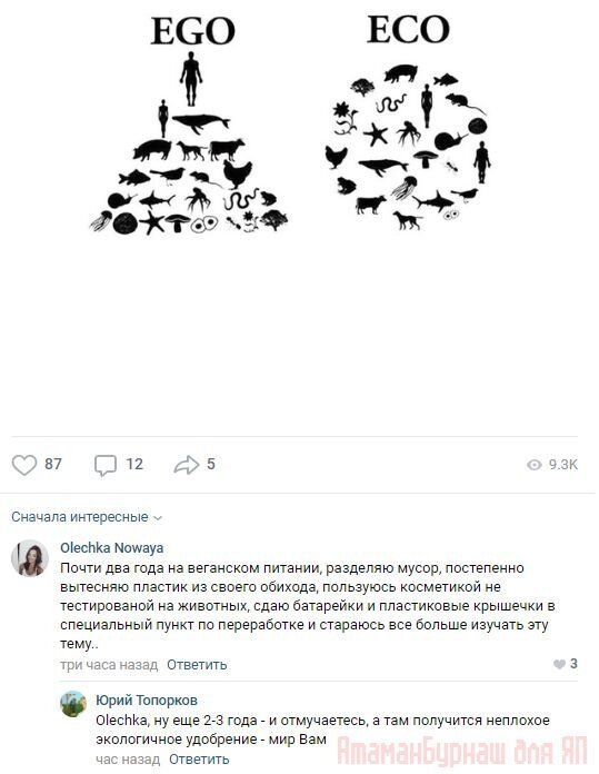 Комментарии к постам в разных группах