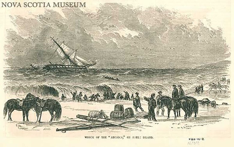 Лошади блуждающего острова