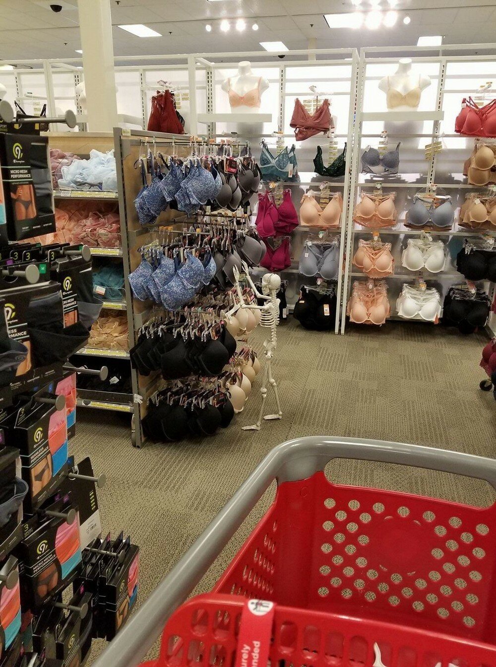 Фотоподборка от Димон за 10 октября 2019 23:52