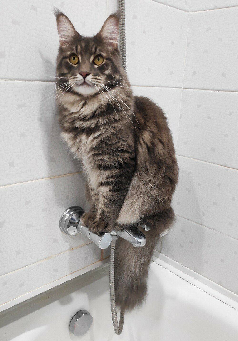 Фотоподборка от Димон за 10 октября 2019 23:52