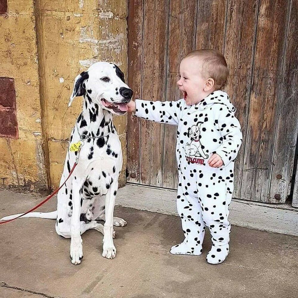 Фотоподборка от Димон за 10 октября 2019 23:52