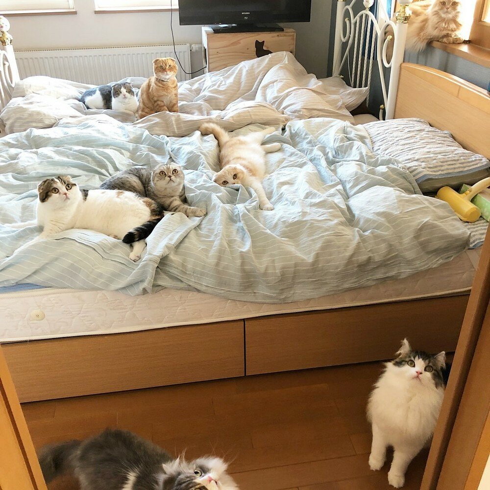 Фотоподборка от Димон за 10 октября 2019 23:52