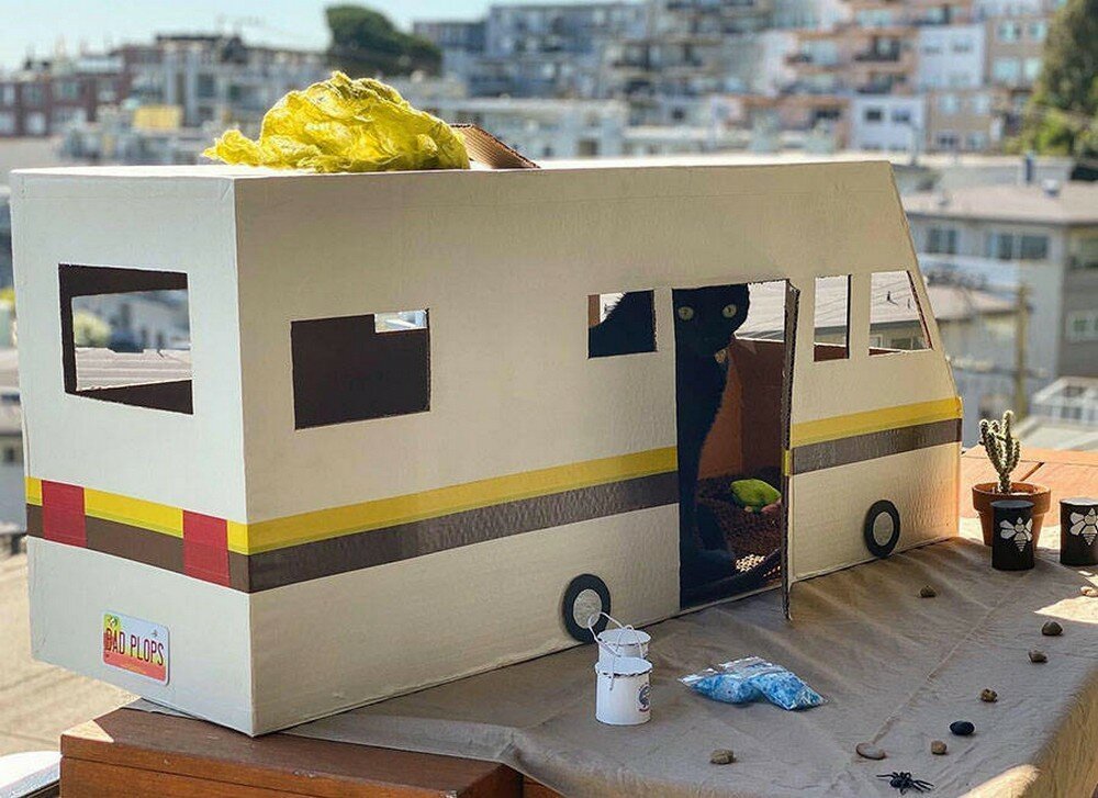 Фотоподборка от Димон за 10 октября 2019 23:52