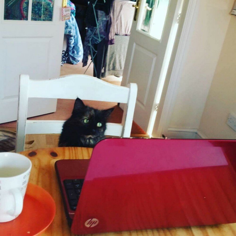 Фотоподборка от Димон за 10 октября 2019 23:52