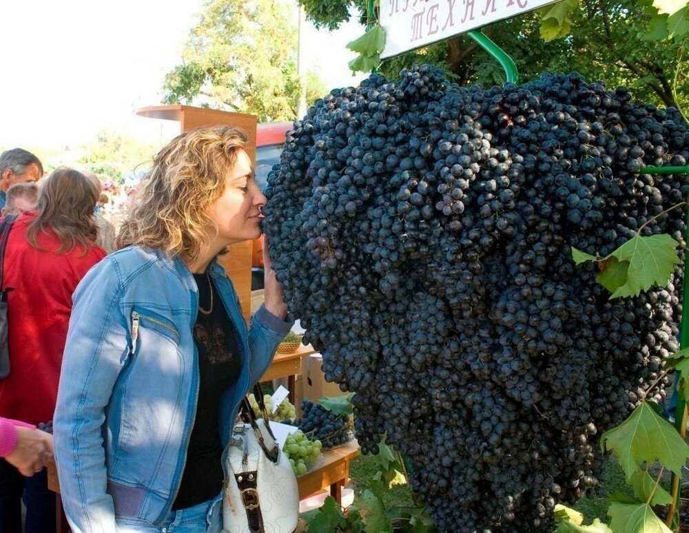 Фотоподборка от Димон за 10 октября 2019 23:52