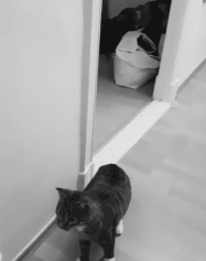 Гифки разные Гифки разные