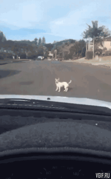 Гифки разные Гифки разные