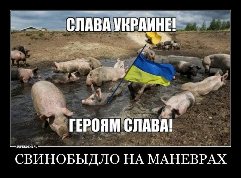 Бояны про Украину 4