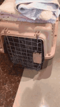 Гифки разные