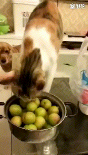 Гифки разные