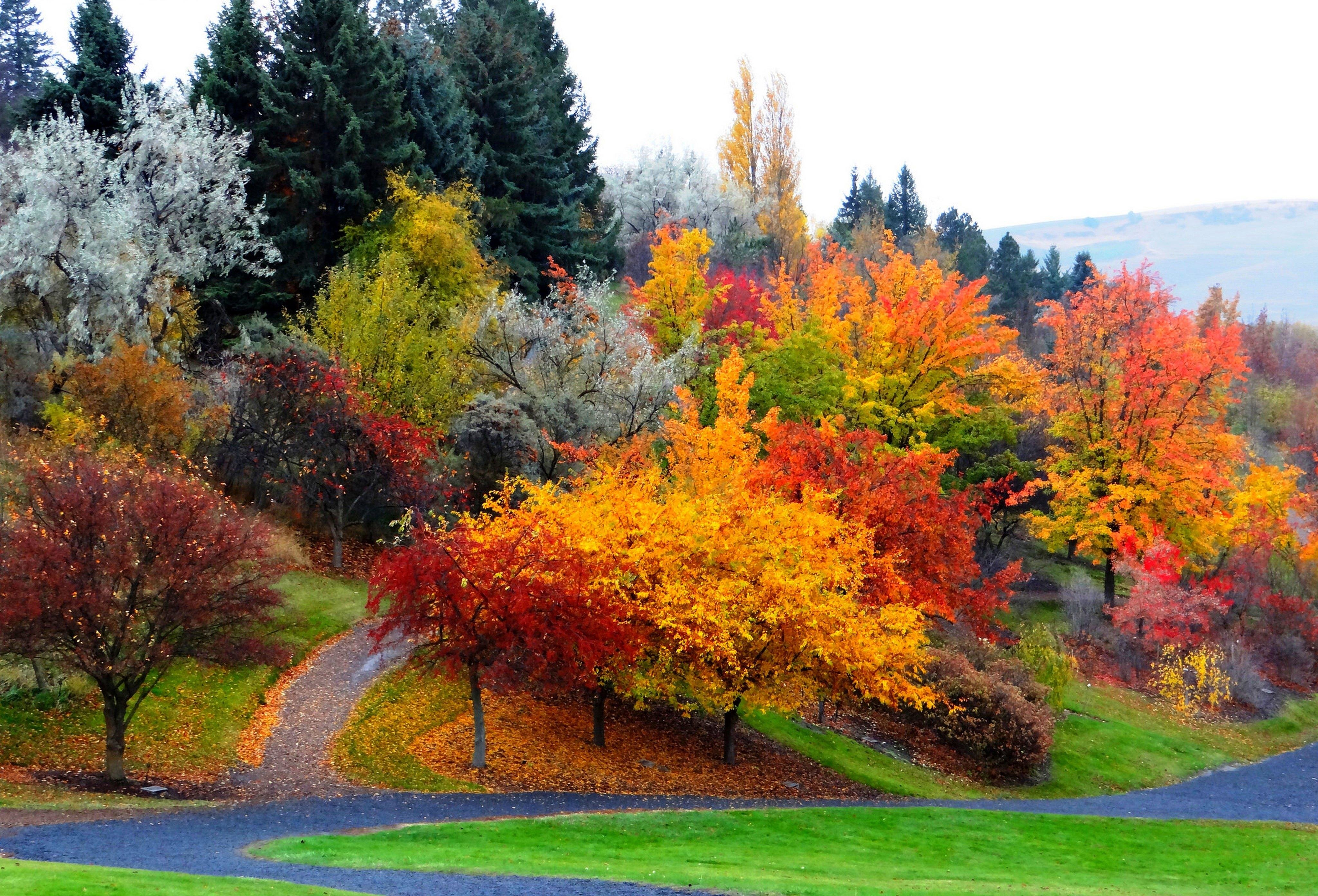 Осень фото красивые. Осень. Красивая осень. Природа осень. Красота осени.