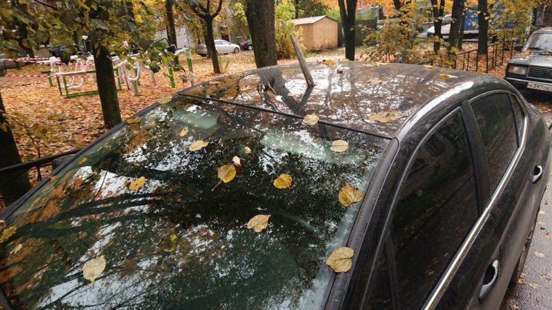 В Ленобласти неизвестные мстители воткнули лом в крышу припаркованной машины