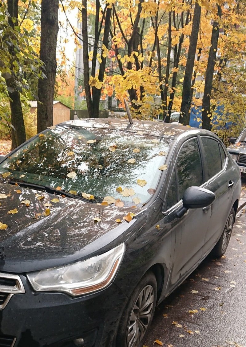 В Ленобласти неизвестные мстители воткнули лом в крышу припаркованной машины