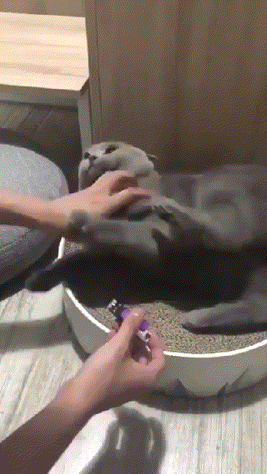 Гифки разные