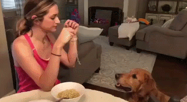 Гифки разные