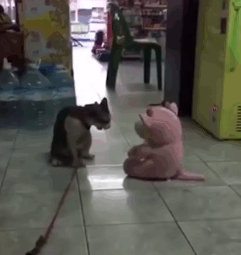 Гифки разные