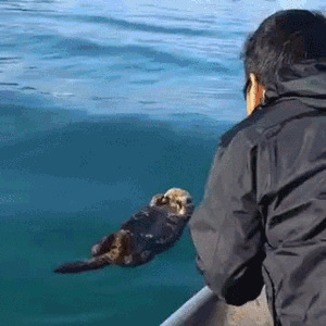 Гифки разные