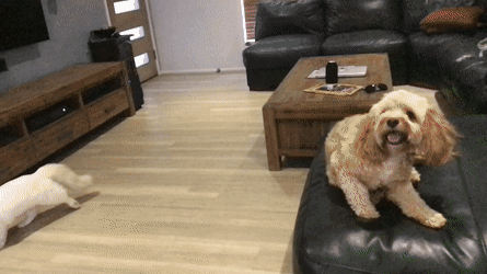 Гифки разные