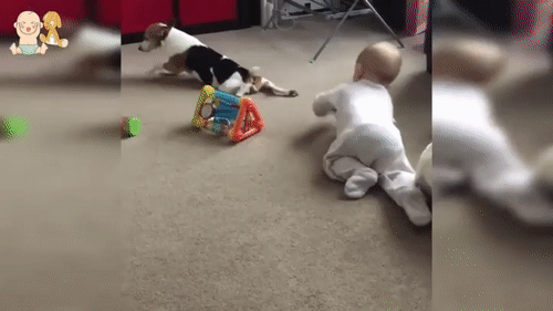 Гифки разные