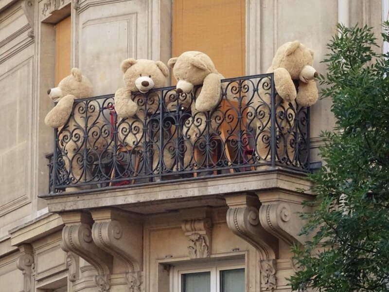 Прохожие впечатлились, когда Филиппе шёл по улице сразу с тремя медведями