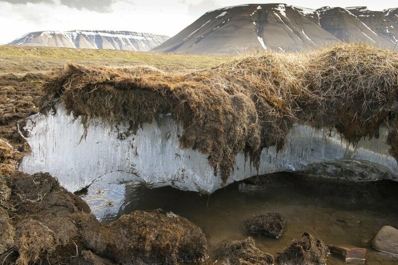 Что будет, если за ночь на планете растает весь лед?