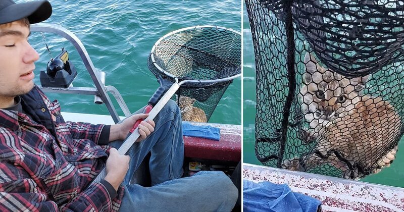 Отец с сыном отправились за рыбой, а поймали рысь