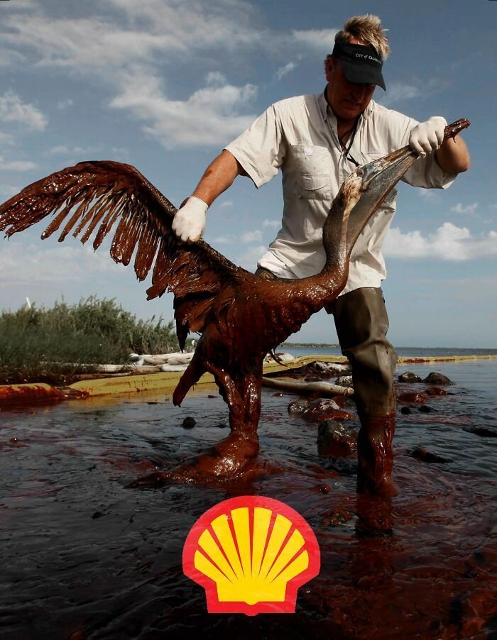 7. Нефтегазовая компания Shell