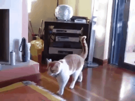 Гифки разные