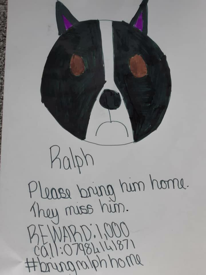 Кто-то из детей нарисовал портрет похищенного пса