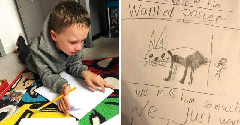 Мальчик хотел найти похищенного пса и рисовал плакаты как мог