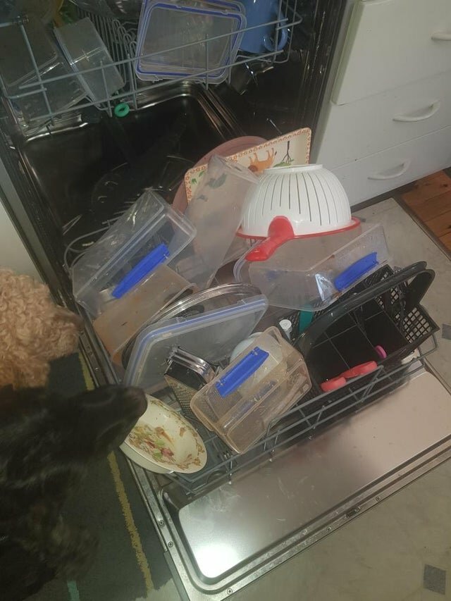 "Так мой муж загружает посуду в посудомоечную машину"