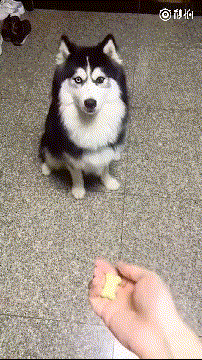 Гифки разные Гифки разные