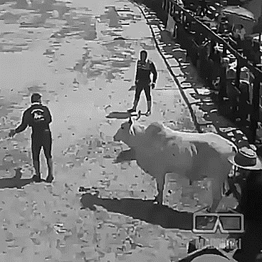 Гифки разнообразные