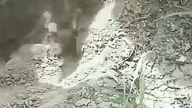 Гифки разнообразные