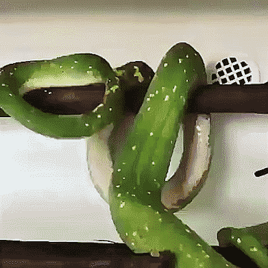 Гифки разнообразные