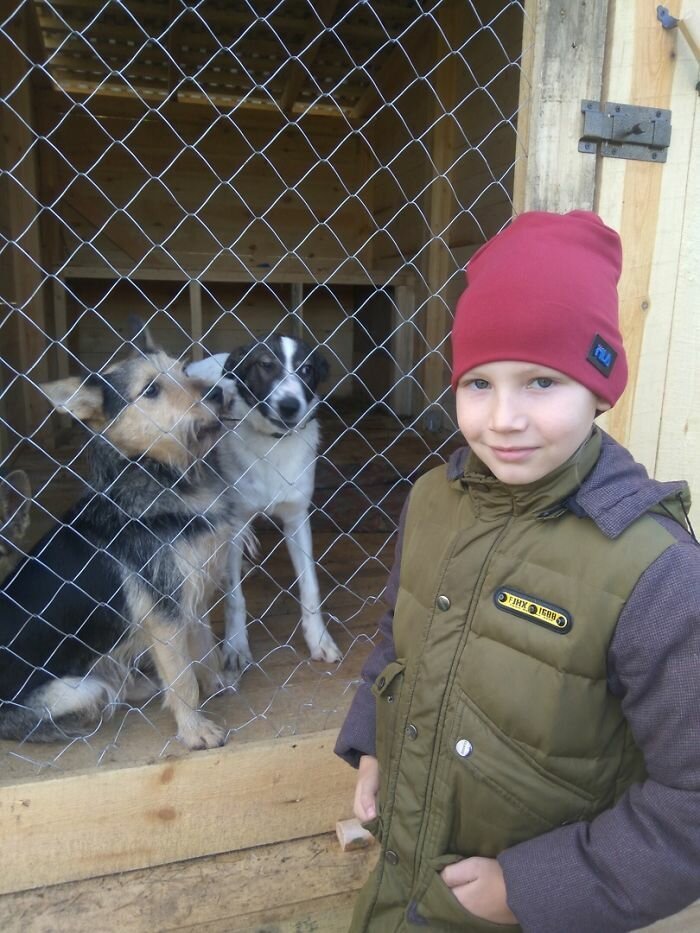 9-летний художник из Арзамаса помогает собачьему приюту