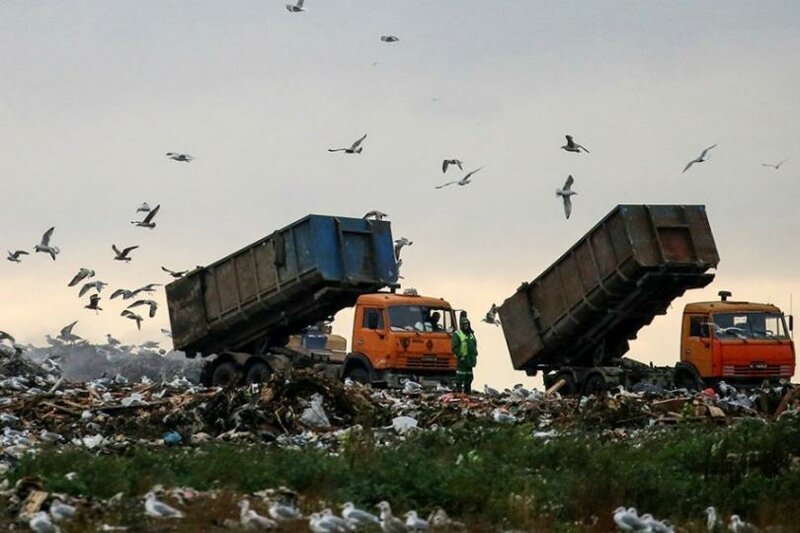 Что делают с мусором в Скандинавии
