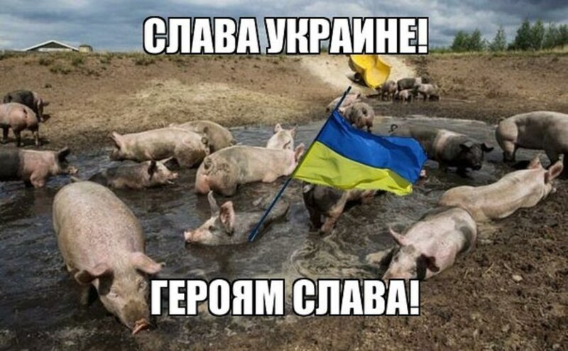 Бояны про ленивую Украину