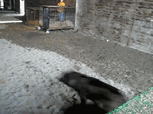 Гифки всякие