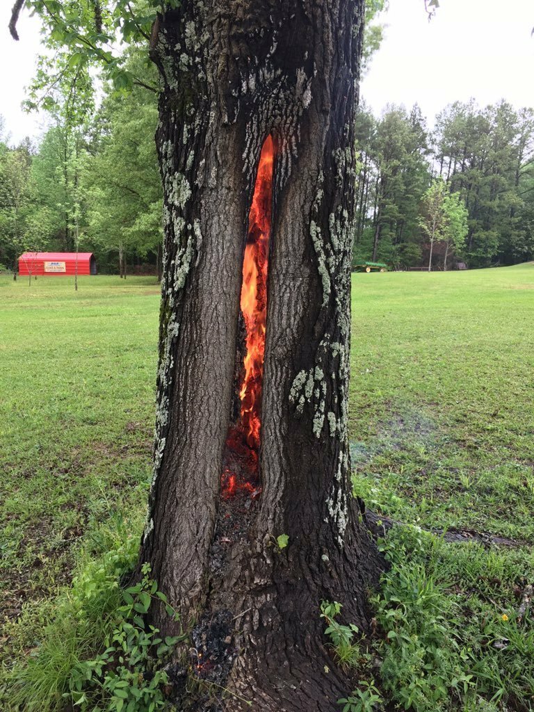 Горение дерева изнутри после удара молнии