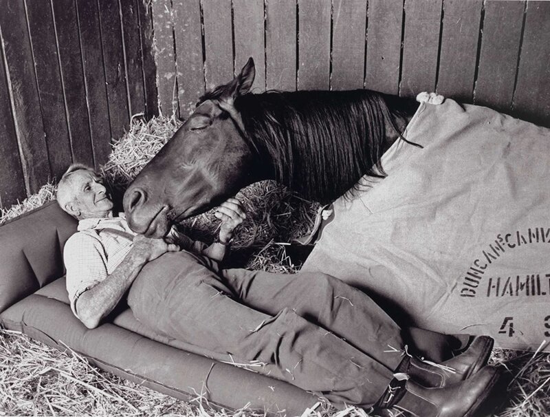 Тренер скаковых лошадей Томми Вудкок с его чемпионом "Неосторожная" в ночь перед Кубком Мельбурна 1977 года, Флемингтона
