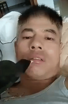 Независимая оценка состояния зубов