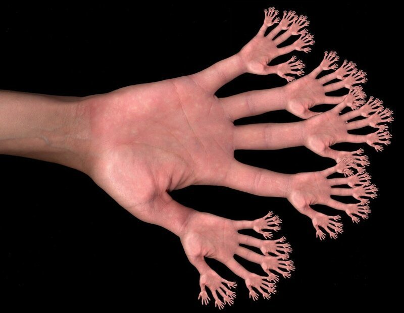 Сколько пальцев на руках? Считайте